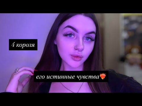 Видео: 4 КОРОЛЯ: ИСТИННЫЕ ЧУВСТВА🦋 #таро #tarot #4короля 
