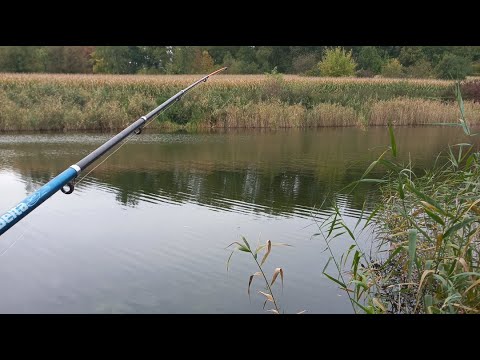 Видео: Рибалка наживо!!!! прямий ефір.