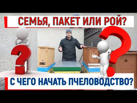 Видео: Семья, пчелопакет или рой? С чего начать пчеловодство?