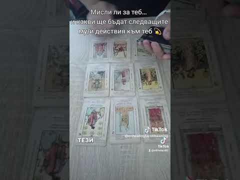 Видео: 4 ноември 2025 г.