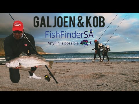 Видео: ЗДРАВСТВУЙ, ЛЕТО! Представляем Fishfindersa