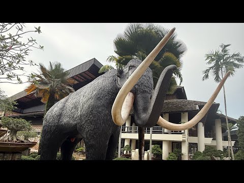 Видео: Отдых в Паттайе день 2#thailand #pattaya #travel #отдых #hotel 