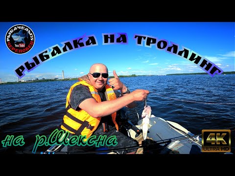 Видео: Рыбалка на троллинг в "4к"на р.Шексна💪😋👍!!!Ловим СУДАКА!!!