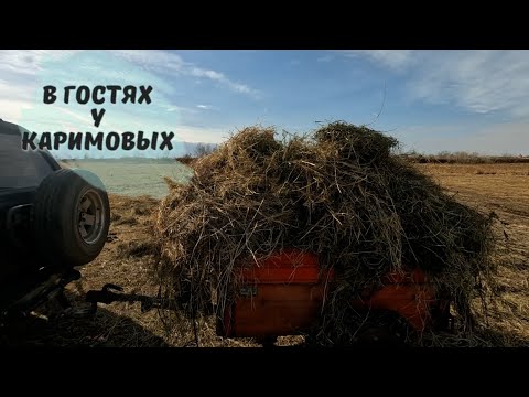 Видео: Сеном запаслись