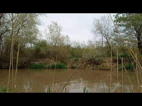Видео: рыбалка на слияние двух рек кума и подкумок