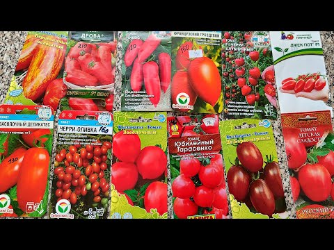 Видео: Лучшие сорта томатов для засолки и консервирования