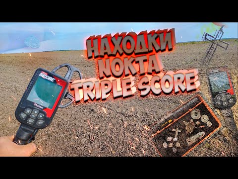 Видео: Пару часов копа с Nokta Triple Score