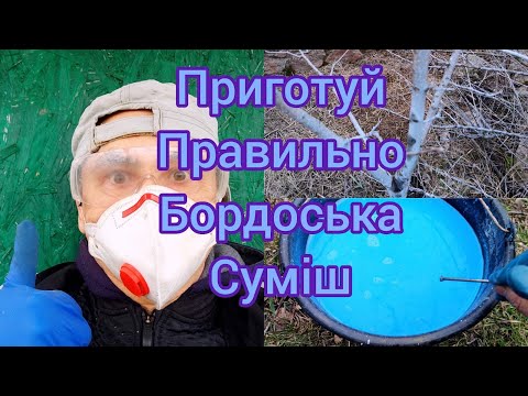 Видео: Приготуй правильно   бордоська суміш