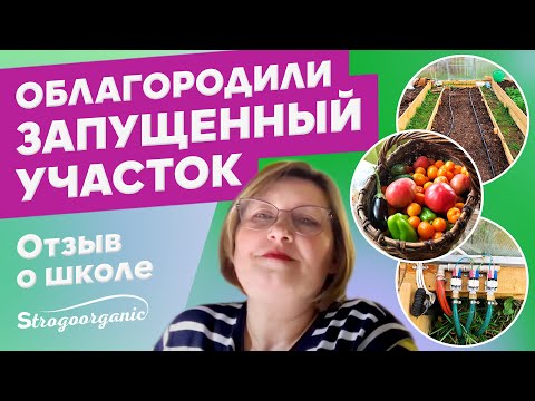 Видео: Как превратить запущенный участок в цветущий  сад? / отзывы Strogoorganic