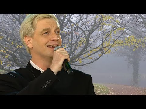 Видео: Ноябрьский тур Алексея Гомана