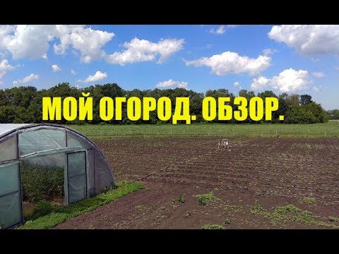 Видео: Что выгоднее выращивать в огороде?