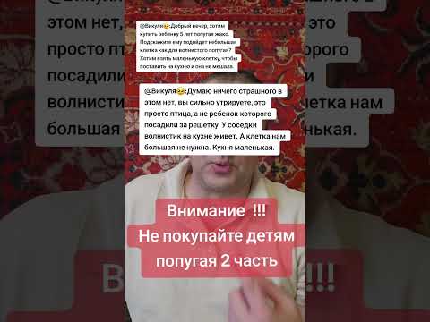 Видео: Не покупайте детям большого попугая- это не игрушка 2 часть