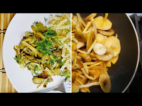 Видео: Как мы готовим  гигрофор поздний (зимний гриб)