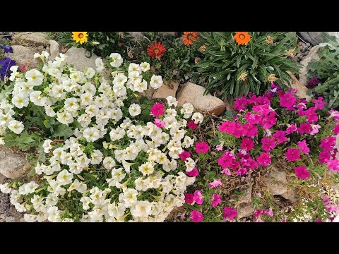 Видео: 551(2)📢🤓Продолжение обзора🧐🚘