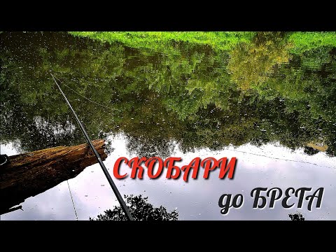 Видео: РИБИТЕ са в КРАКАТА ми! СКОБАРИ на ХЛЯБ