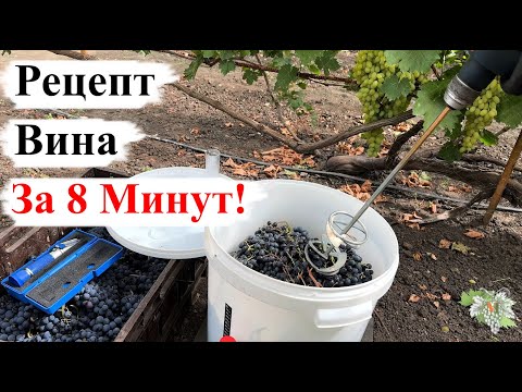 Видео: Рецепт ВИНА за 8 МИНУТ!