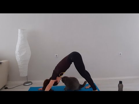 Видео: Кардио тренировка с елементи на дупе и корем в домашна обстановка с Марина Декова