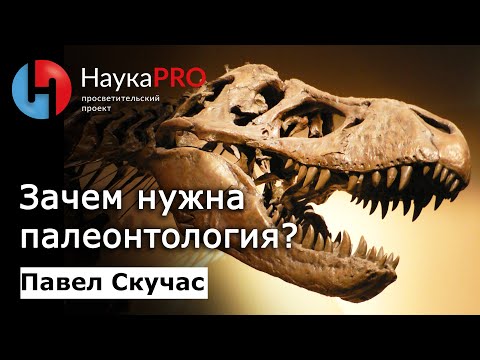 Видео: Зачем нужна палеонтология? | Лекции по палеонтологии – палеонтолог Павел Скучас | Научпоп