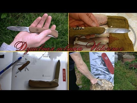 Видео: Душевная новинка Victorinox 2017 Forester Wood