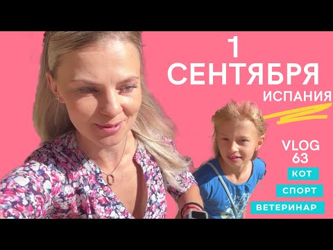 Видео: VLOG: ТАКОГО ВЫ ЕЩЕ НЕ ВИДЕЛИ 1 сентября в Испании / ПЕРЕВОДЧИК/ кот у ветеринара / SPORT 01.09.25