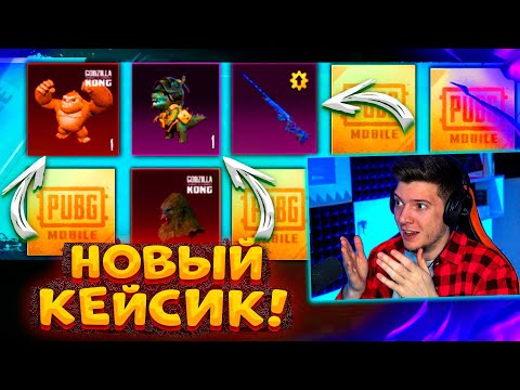 Видео: ВЫБИЛ СКИН НА ПИТОМЦА! ОТКРЫВАЮ НОВЫЙ КЕЙС В PUBG MOBILE! ТАКОГО В ПУБГЕ ЕЩЁ НЕ БЫЛО! ПУБГ МОБАЙЛ!
