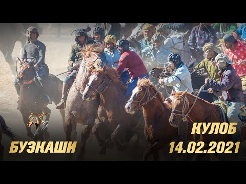 Видео: Бузкаши Кулоб 14.02.2021 - Buzkashi Tajikistan