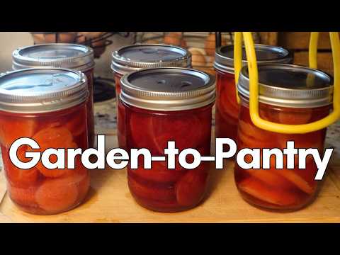 Видео: Рецепты консервирования небольшими партиями | Неделя домашнего консервирования