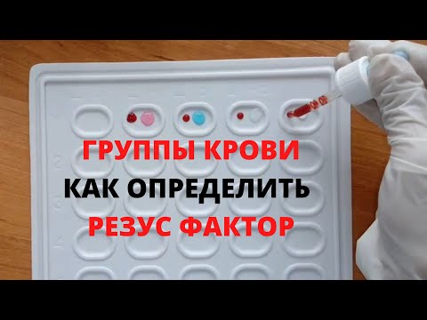 Видео: Определение группы крови, резус фактора | Қан тобын, резусын анықтау