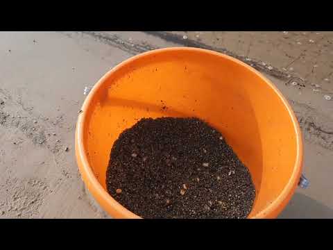 Видео: Припять лещ сом судак красота