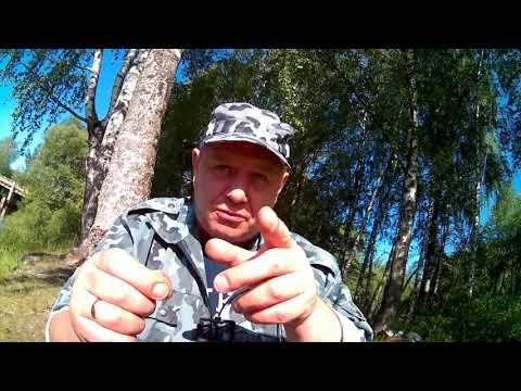 Видео: ОТВОДНОЙ на ПЛОТВУ