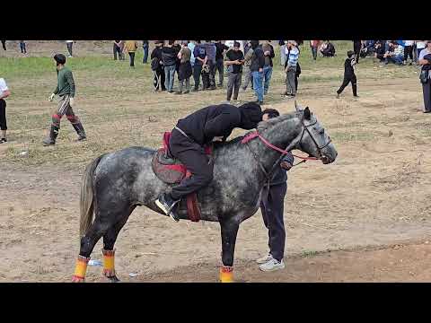 Видео: Бузкаши Г.Москва Раменское район 7 09 2025