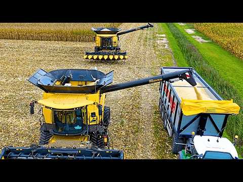 Видео: УРОЖАЙ КУКУРУЗЫ 2024 2X NEW HOLLAND CR REVELATION