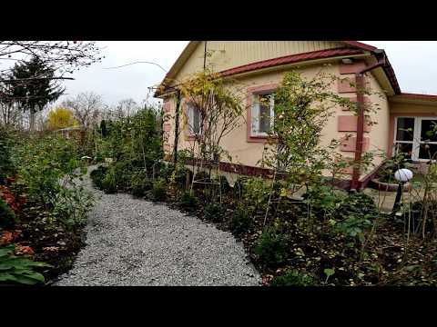 Видео: НАРЕШТІ ЗРУЧНО! Ідеальна підготовка троянд до зими та "Стежки порятунку" у клумбі.