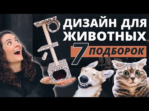 Видео: ДИЗАЙН ДЛЯ ЖИВОТНЫХ. МЕБЕЛЬ ДЛЯ КОШЕК И СОБАК, ИГРОВОЙ КОМПЛЕКС ДЛЯ КОШКИ, ЛЕЖАНКИ, КОГТЕТОЧКИ