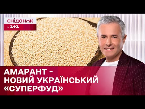 Видео: Щириця – рослина з потенціалом! Крупа яка стане клондайком для бізнесу?