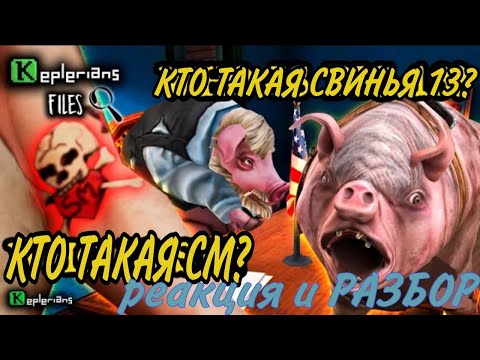 Видео: Keplerians files, кто такая свинья 13? Реакция и разбор.