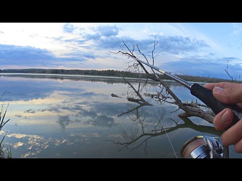 Видео: ВСЯ РЫБА В КОРЯГАХ! Рыбалка на реке ДОН. Сплав на плоту