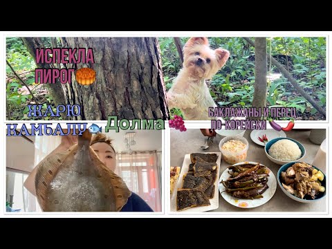 Видео: Готовлю долму|Полезные покупки с Wildberries🛍️|Корейский ужин🥢