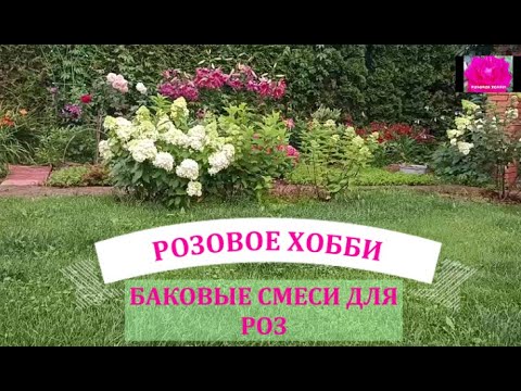 Видео: БАКОВЫЕ СМЕСИ ДЛЯ РОЗ ПОСЛЕ ПЕРВОГО ЦВЕТЕНИЯ. Начинающим