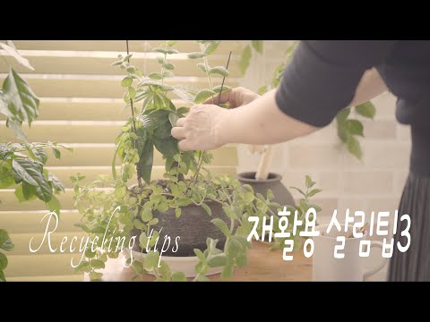 Видео: SUB) Советы по переработке, переработка стеклянных бутылок, нулевые отходы