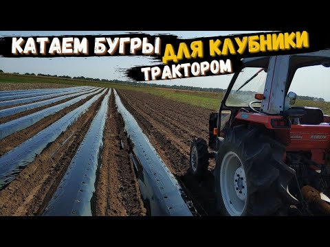 Видео: Катаем трактором бугры для клубники