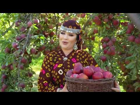 Видео: Чахонгул Аслонзода Jahongul Aslonzoda Бехтарин суруд барои мардуми файзобод