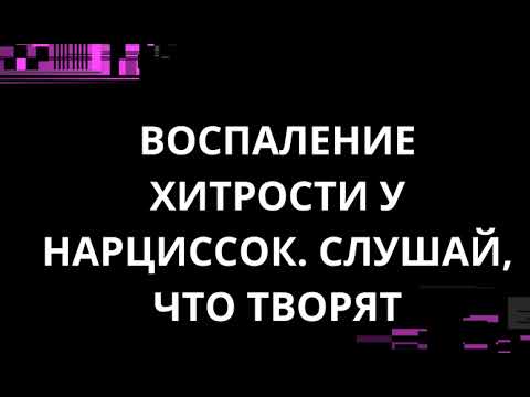 Видео: ВОСПАЛЕНИЕ ХИТРОСТИ У НАРЦИССОК. СЛУШАЙ, ЧТО ТВОРЯТ