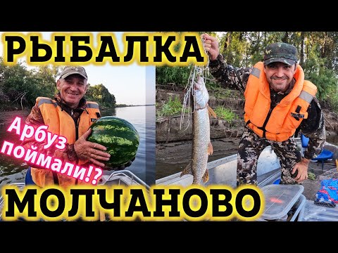 Видео: Рыбалка в Молчаново на Щуку! Рыбалка в Томской Области на Оби. Деревня Молчаново