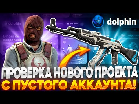Видео: ПРОВЕРКА НОВОГО ПРОЕКТА DOLPHIN С ПУСТОГО АККАУНТА!