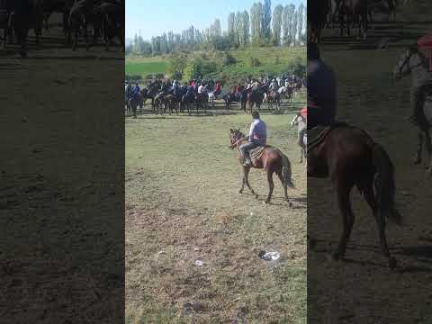 Видео: бузкаши дар майдони мачитон 20 Октябрь