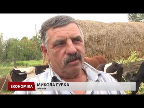 Видео: На Львівщині запрацювала молочна сімейна ферма