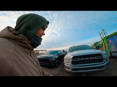 Видео: Ram 1500 Ram 3500 яка різниця? Ford F-150 Ford F-350 | 🇺🇲 ep.11