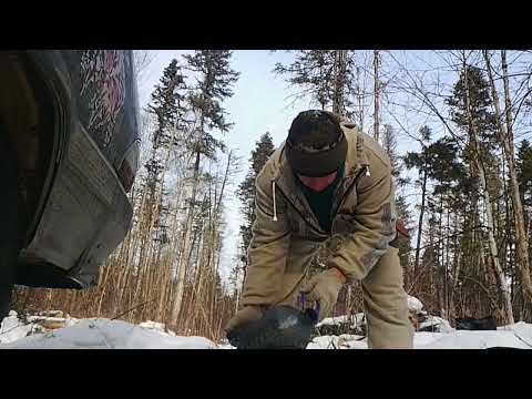 Видео: Промысловая охота у подножия Сихотэ-Алиня. ВЗАИМОВЫРУЧКА