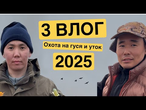 Видео: Весенняя охота на уток - 2025 год. (Хангаласский  улус, с.Техтюр)